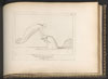 Flaxman, Lethe