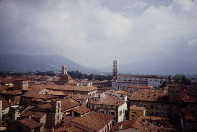 Lucca