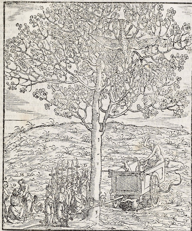 Vellutello, Renewal of Tree